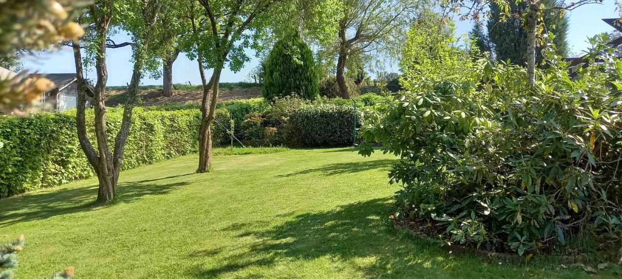 Gite Les Sittelles Tenneville Экстерьер фото