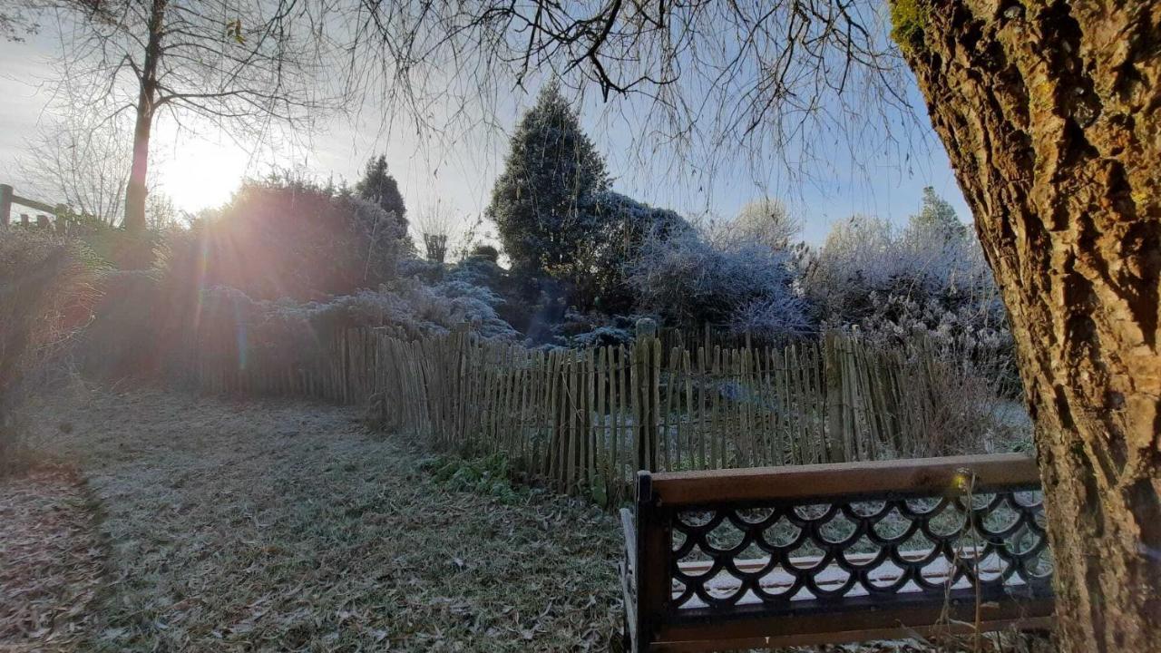 Gite Les Sittelles Tenneville Экстерьер фото